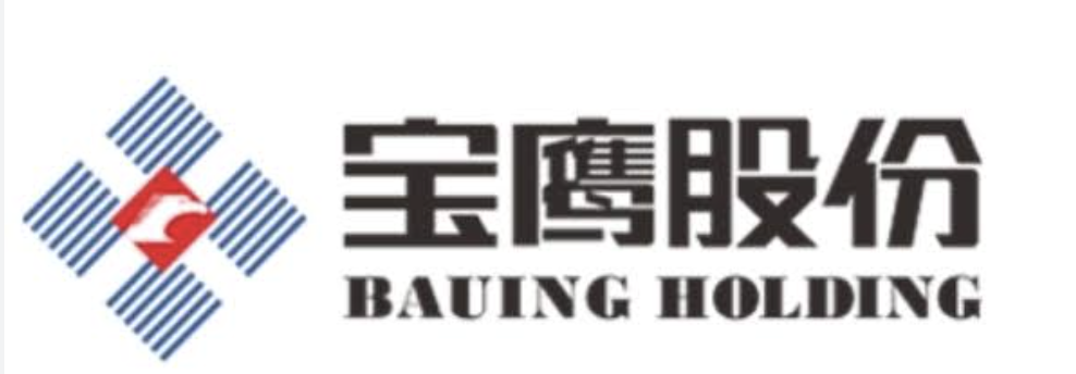 Bauing Group logo